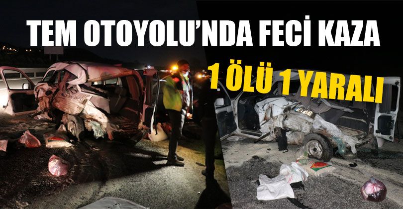 TEM Otoyolu’nda Feci Kaza