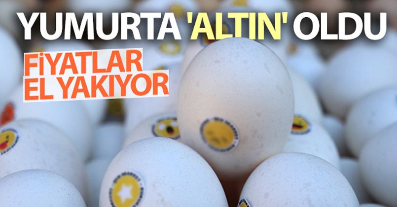 Yumurta 'altın' oldu