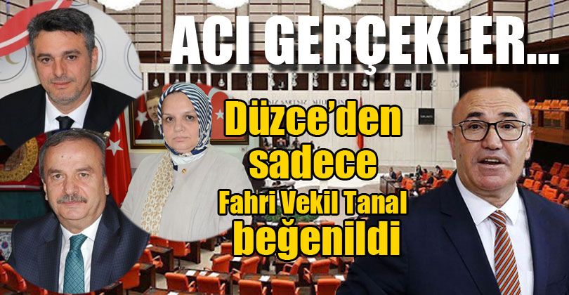 Düzce’den sadece Fahri Vekil Tanal beğenildi