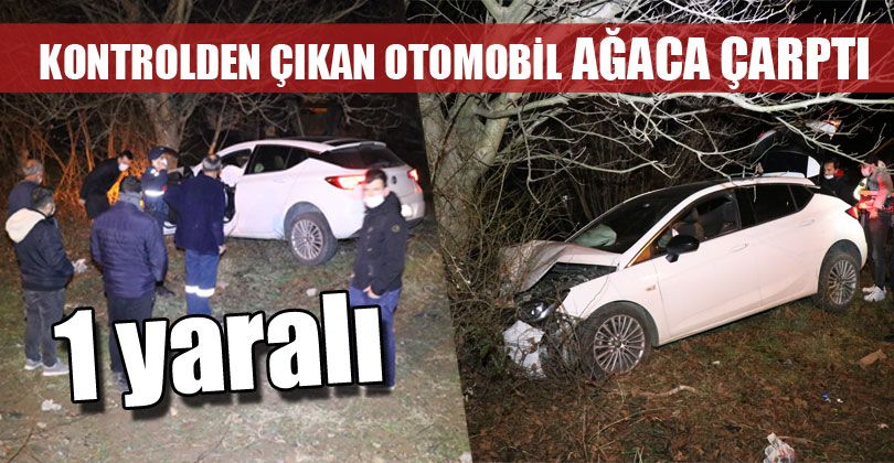 Kontrolden Çıkan Otomobil Ağaca Çarptı