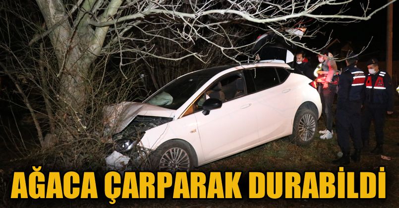 Kontrolden çıkan otomobil ağaca çarptı: 1 yaralı
