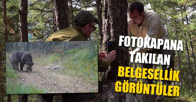 Fotokapana Takılan Belgesellik Görüntüler