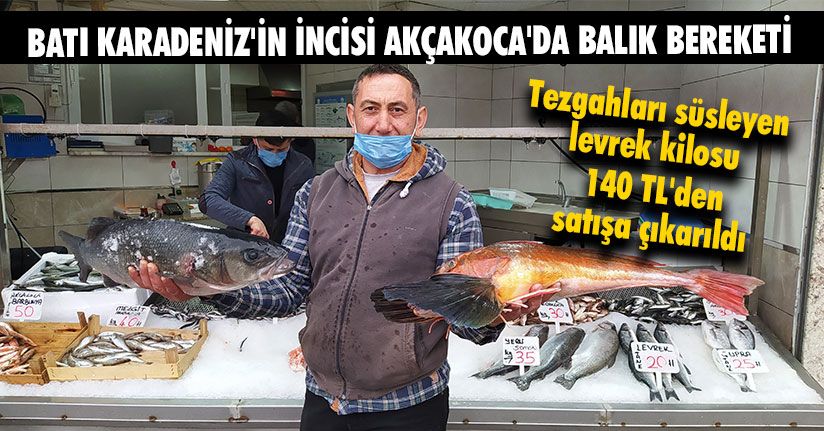 Batı Karadeniz'in İncisi Akçakoca'da Balık Bereketi   