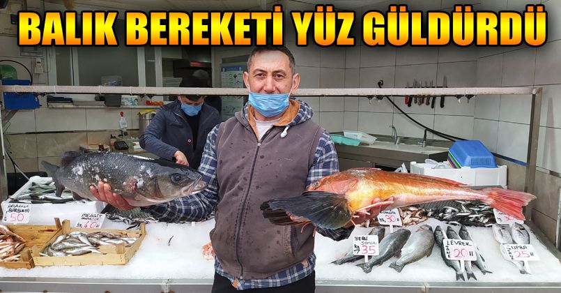 Batı Karadeniz'in incisi Akçakoca'da balık bereketi