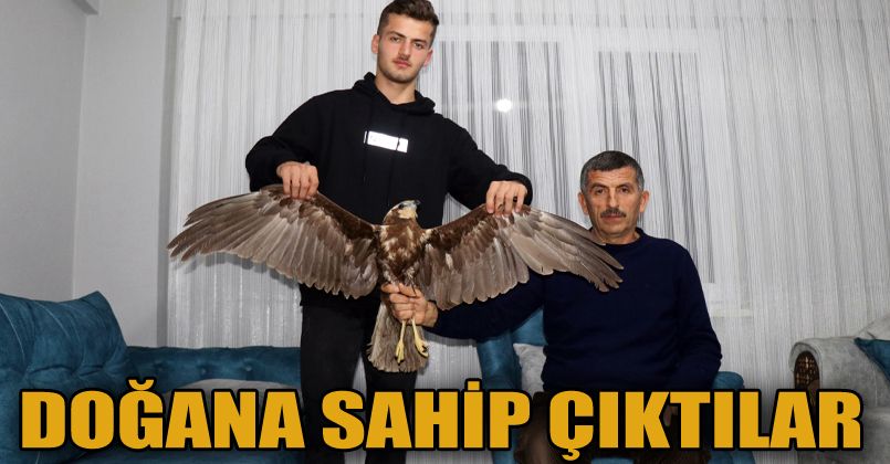 Uçmakta zorlanan doğana hayvan sever sahip çıktı