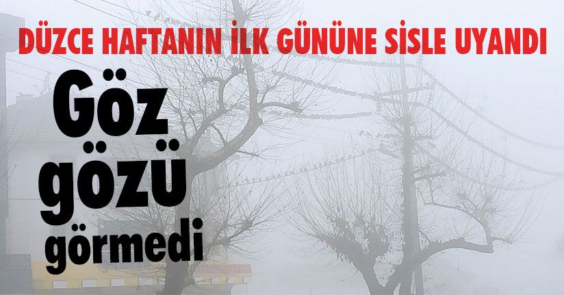 Düzce Haftanın İlk Gününe Sisle Uyandı