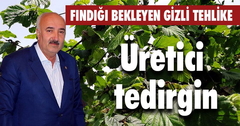 Fındığı Bekleyen Gizli Tehlike 