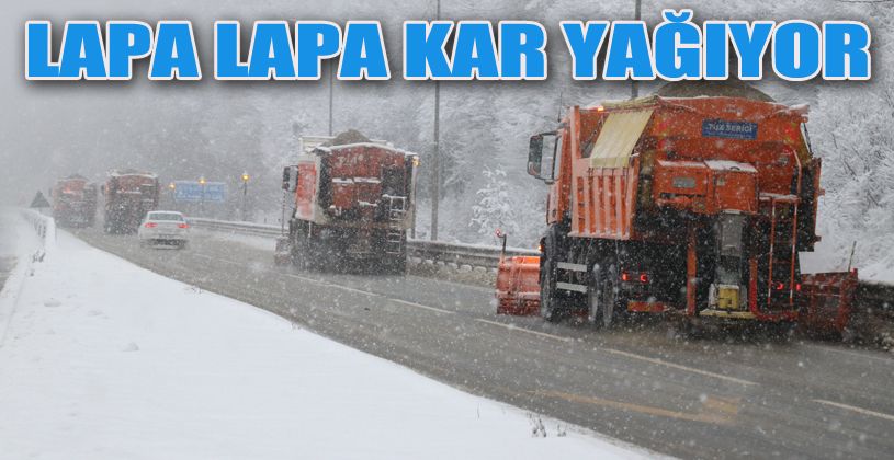 Bolu Dağı’nda lapa lapa kar yağıyor