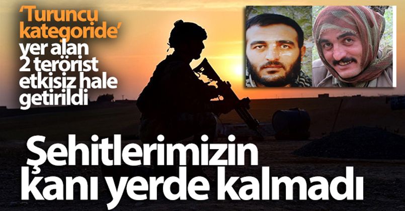 Şehitlerimizin kanı yerde kalmadı