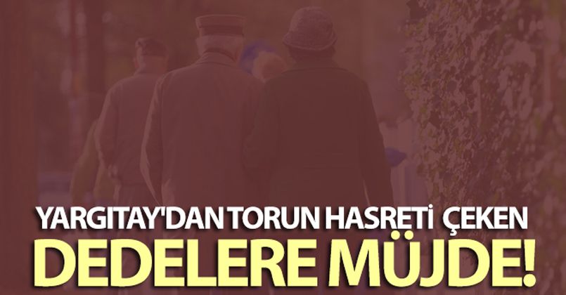 Yargıtay'dan torun hasreti çeken dedelere müjde