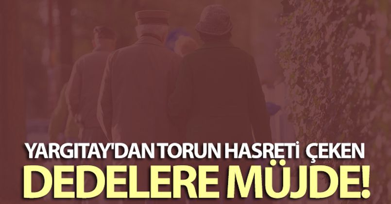 Yargıtay'dan torun hasreti çeken dedelere müjde