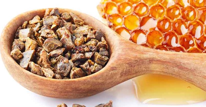 Propolisin kilosu 10 bin liraya dayandı