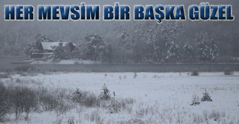 Abant Tabiat Parkı kar yağışıyla tatilci akınına uğradı