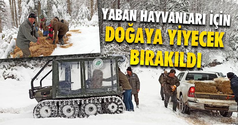 DKMP Ekipleri Yaban Hayvanlarını Unutmadı