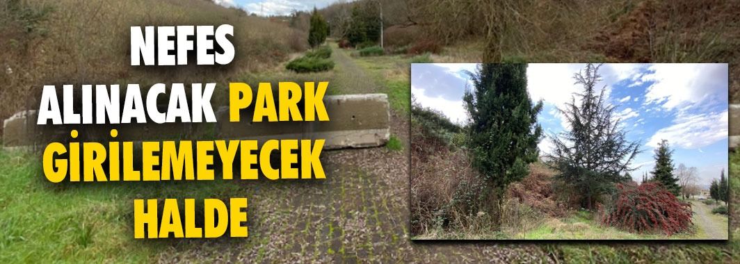 Nefes Alınacak Park Girilemeyecek Halde
