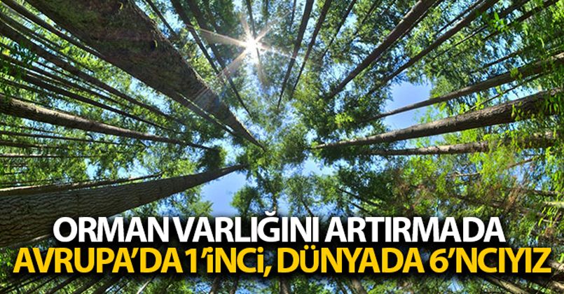 Türkiye orman varlığını artırmada Avrupa'da 1'inci, dünyada 6'ncı