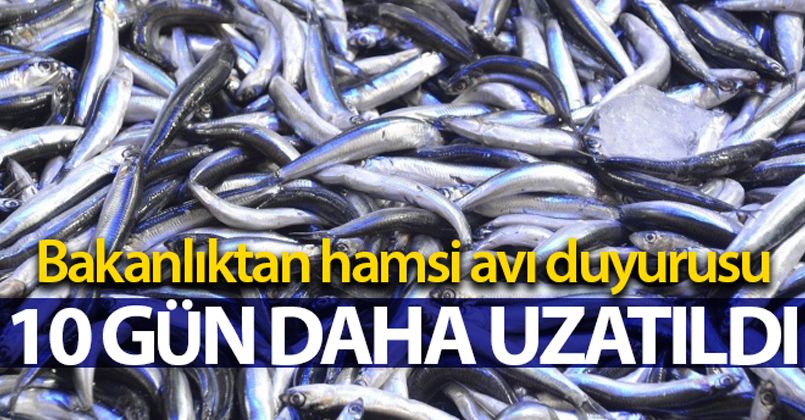 Hamsi avı yasağı 10 gün daha uzatıldı