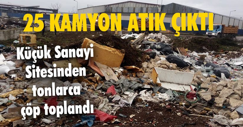 Küçük Sanayi Sitesinden Tonlarca Çöp Toplandı