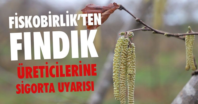 Fiskobirlik’ten Fındık Üreticilerine Uyarı