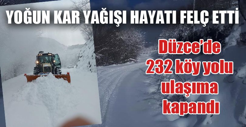 Yoğun Kar Yağışı Hayatı Felç Etti