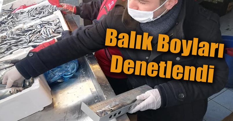 Su ürünleri denetlendi