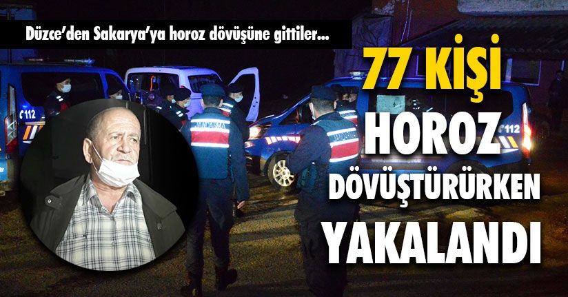 77 Kişi Horoz Dövüştürürken Yakalandı