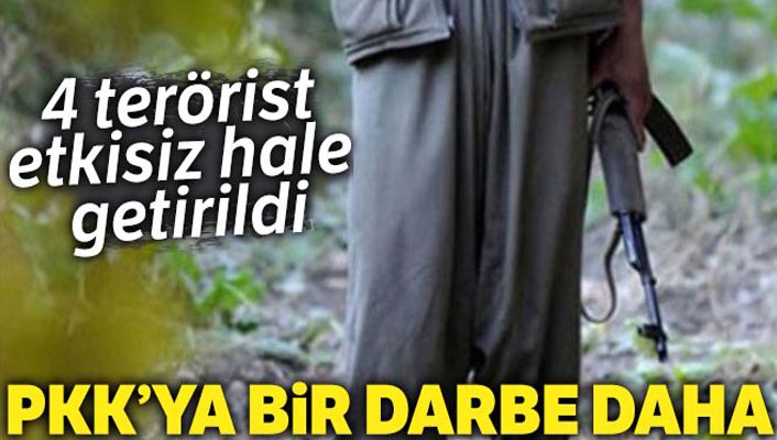 Mardin ve Bingöl kırsalında 4 terörist etkisiz hale getirildi