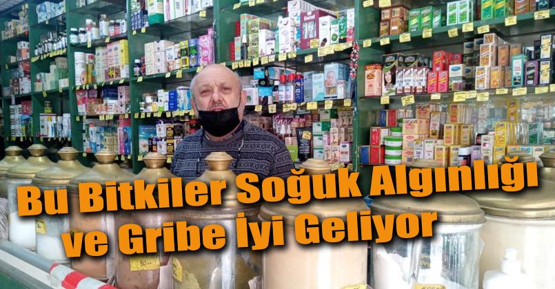 Bu bitkiler soğuk algınlığı ve gribe iyi geliyor