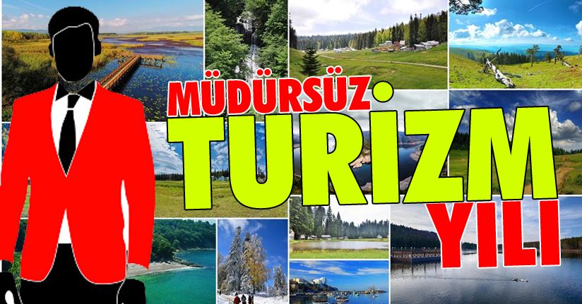 Turizm müdürsüz, Turizm yılı