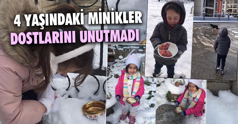 Minikler Dostlarını Unutmadı   