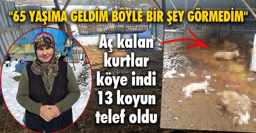 Ahırda Dehşete Düşüren Manzara