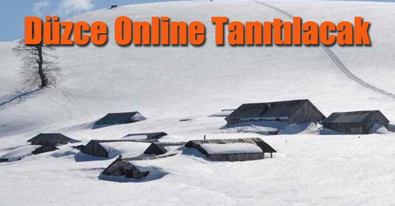 Düzce Online Tanıtılacak