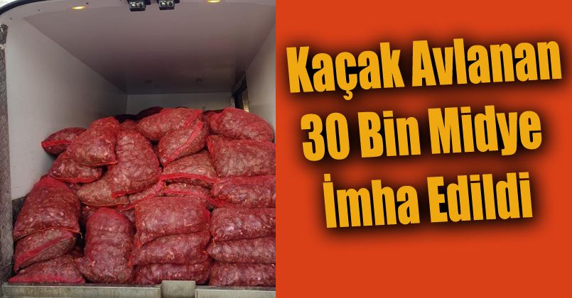 Kaçak avlanan 30 bin midye imha edildi