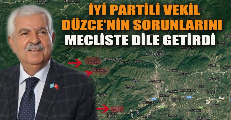 Düzce'nin Sorunlarını Mecliste Dile Getirdi