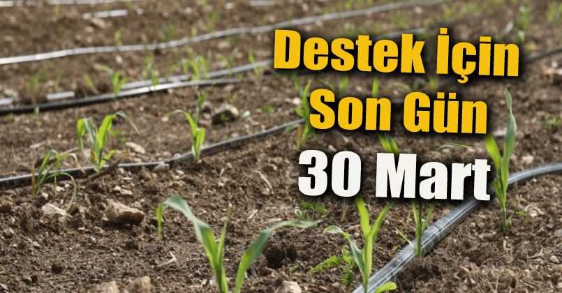 Destek için son gün 30 mart