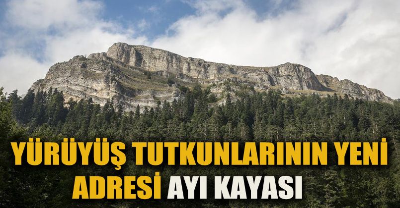 Ayı Kayası Tabiat Parkı yürüyüş tutkunlarının adresi oldu