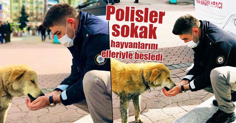 Polisler Sokak Hayvanlarını Elleriyle Besledi   