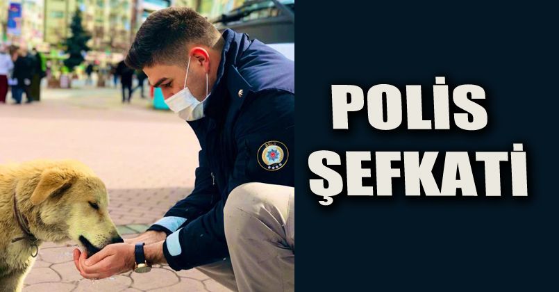 Polisler sokak hayvanlarını elleriyle besledi