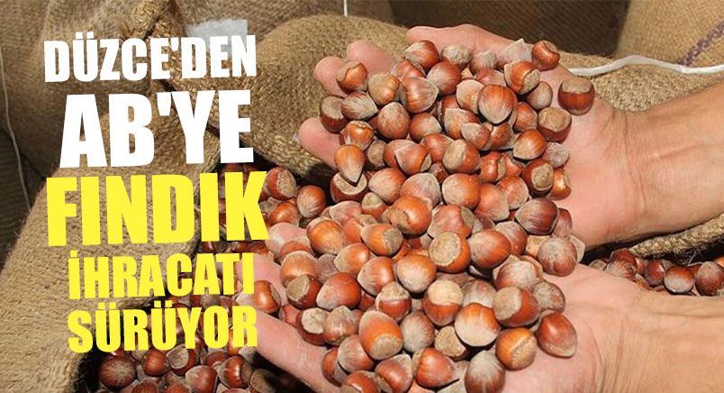 Düzce'den AB'ye Fındık İhracatı