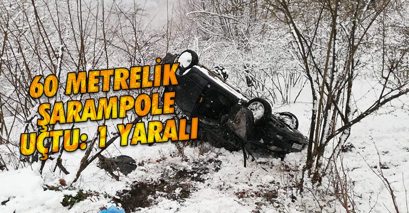 Otomobil uçuruma uçtu, yaralı halatlarla kurtarıldı
