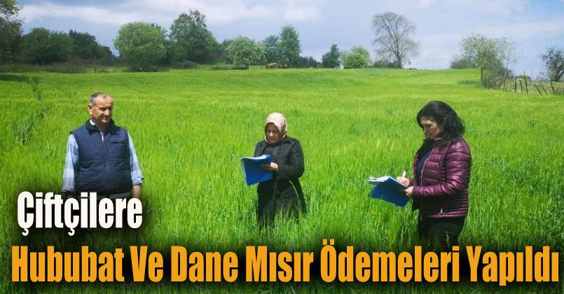 Çiftçilere hububat ve dane mısır ödemeleri yapıldı