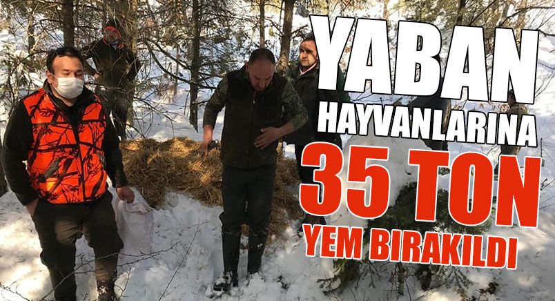 Yaban Hayvanlarına 35 Ton Yem Bırakıldı   