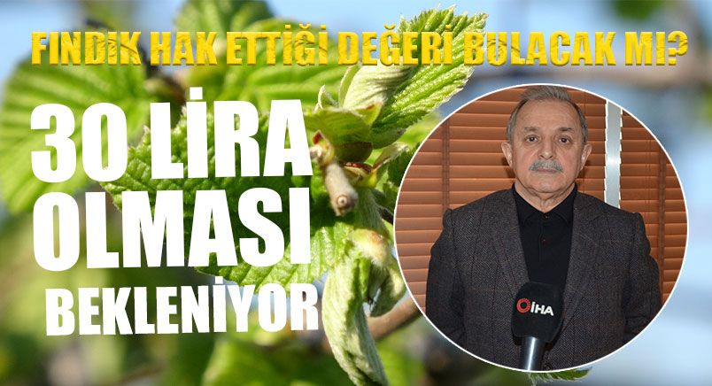 Fındıkta 30 Lira Beklentisi