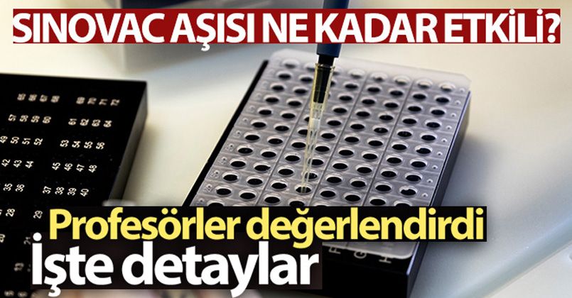 Sinovac aşısının koruyuculuğunu kanıtlayan profesörler aşıyı değerlendirdi