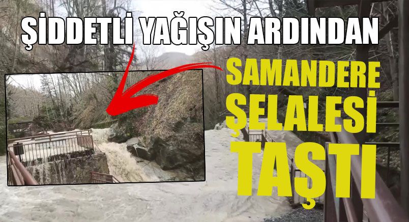 Samandere Şelalesi Taştı Bölge Ziyaretçilere Kapatıldı