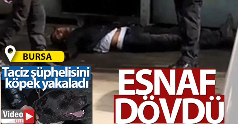 Taciz şüphelisini köpek yakaladı, esnaf dövdü