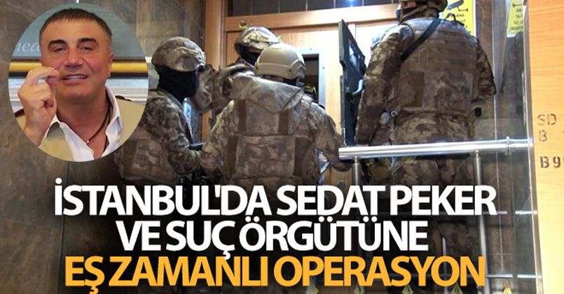 İstanbul'da Sedat Peker ve suç örgütüne eş zamanlı operasyon