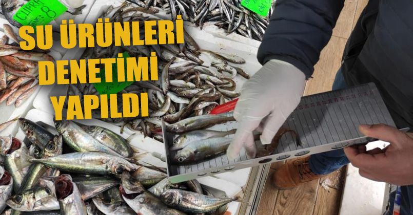 Ekipler su ürünleri denetimi yaptı