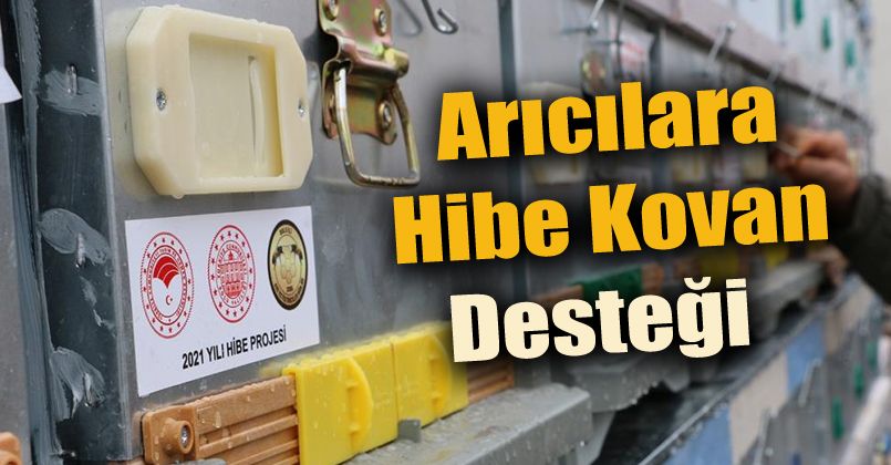 Arıcılara modern kovan desteği sağlandı