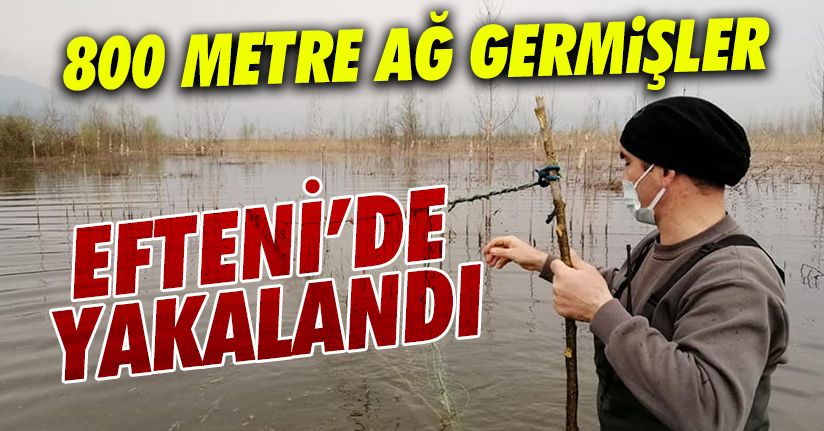 Efteni gölünde 800 metre ağ yakalandı